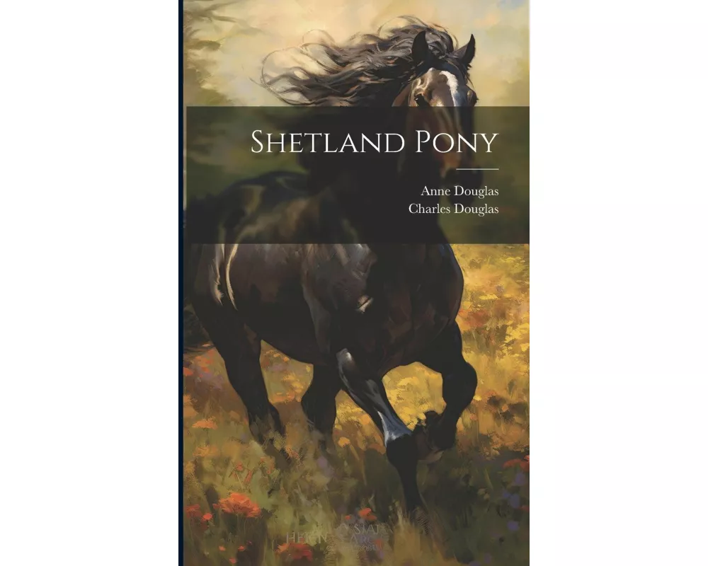 Shetland Pony