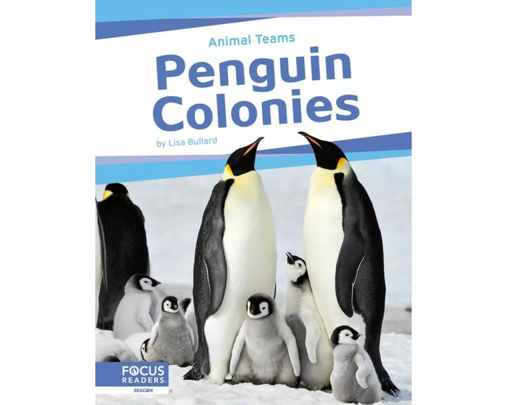 Penguin Colonies