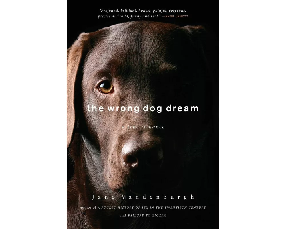 The Wrong Dog Dream