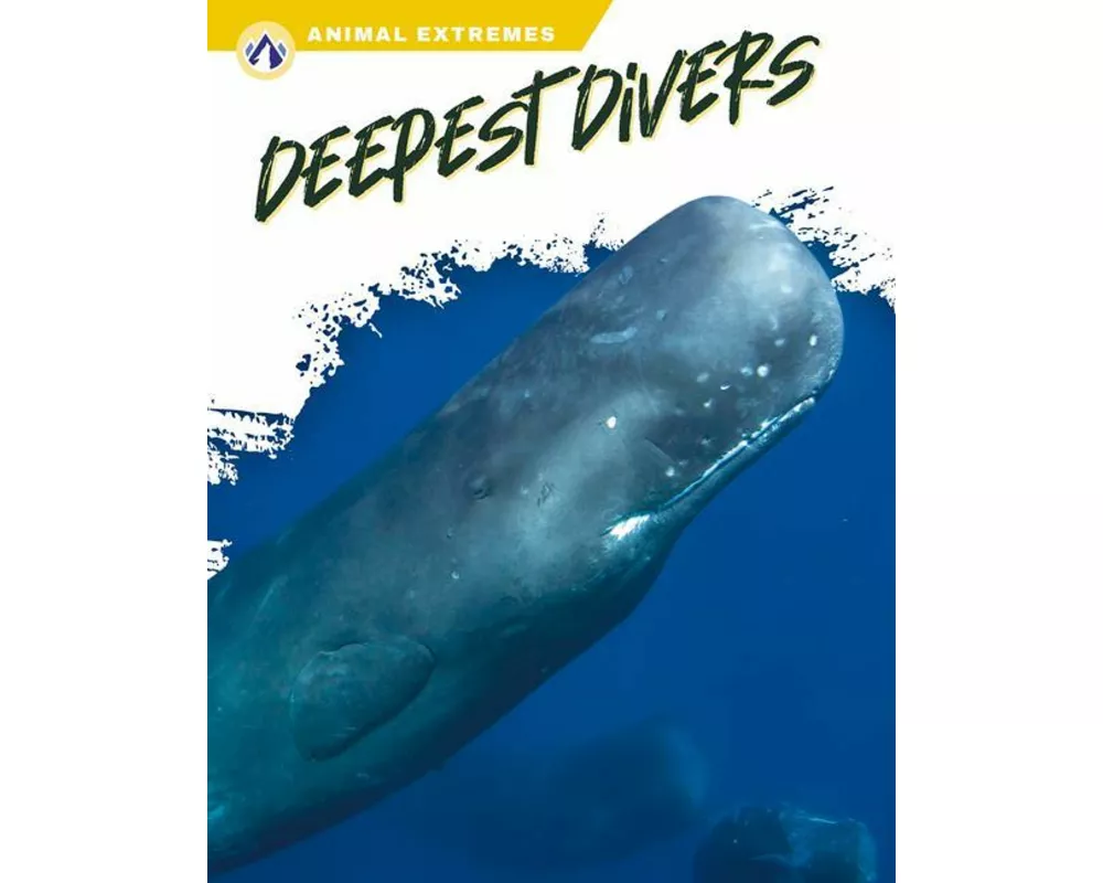 Deepest Divers