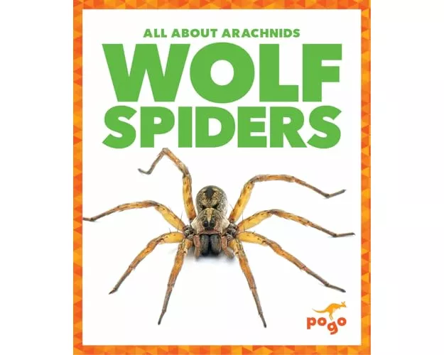 Wolf Spiders