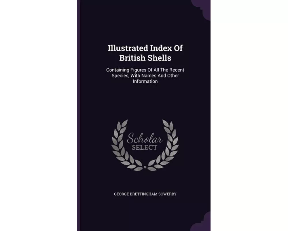Illustrated Index of British Shells: Containing Figures of All the Recent Species, with Names and Other Information