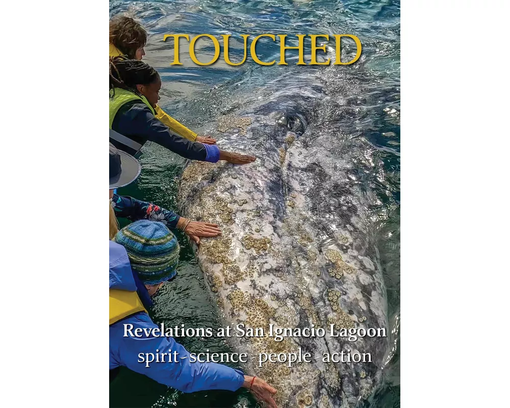 Touched / Tocado