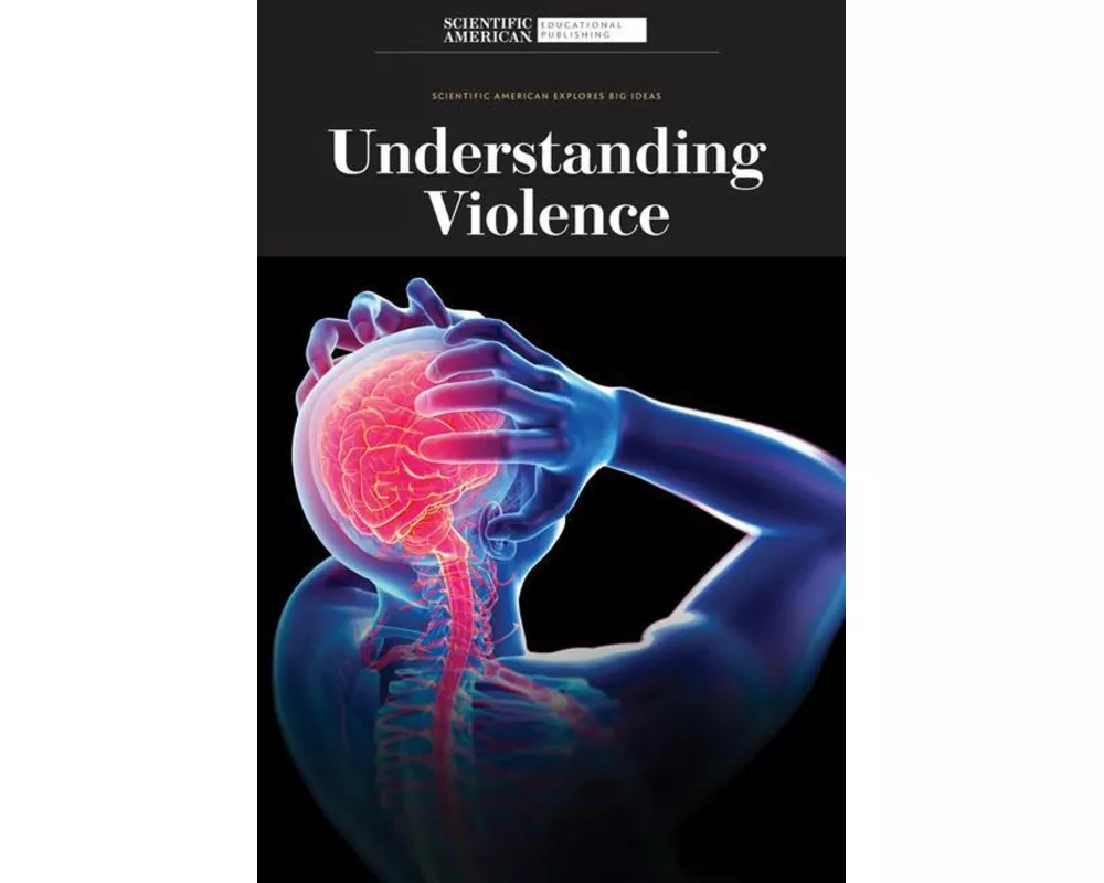 Understanding Violence