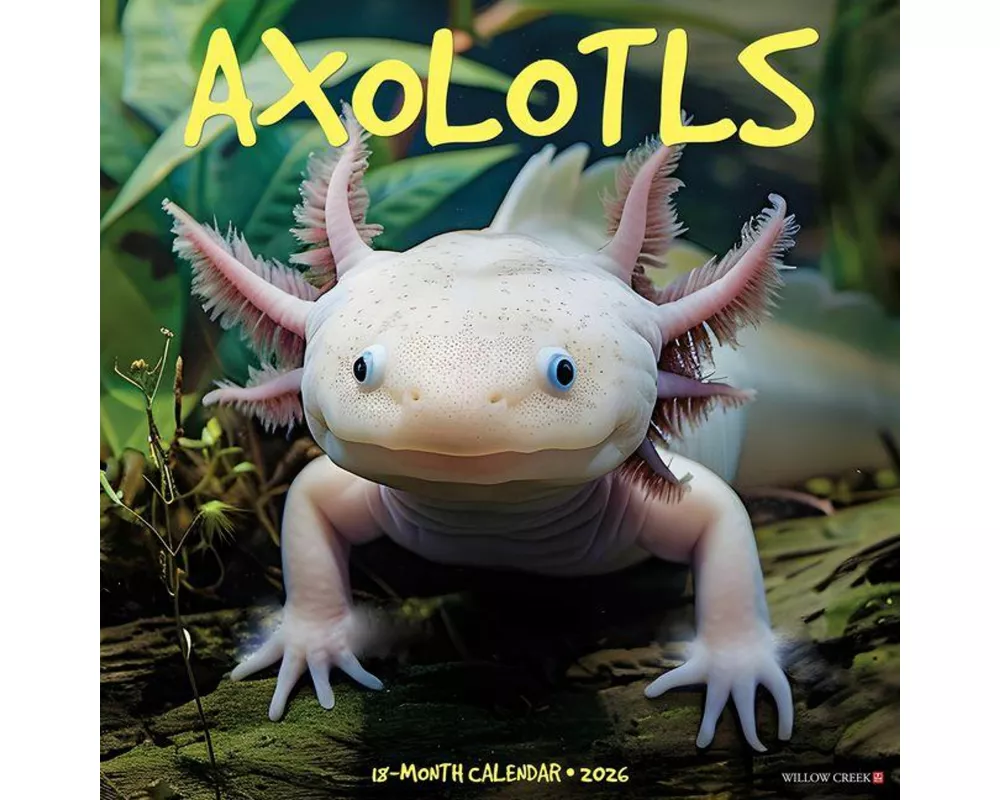 Axolotls 2026 Wall Calendar