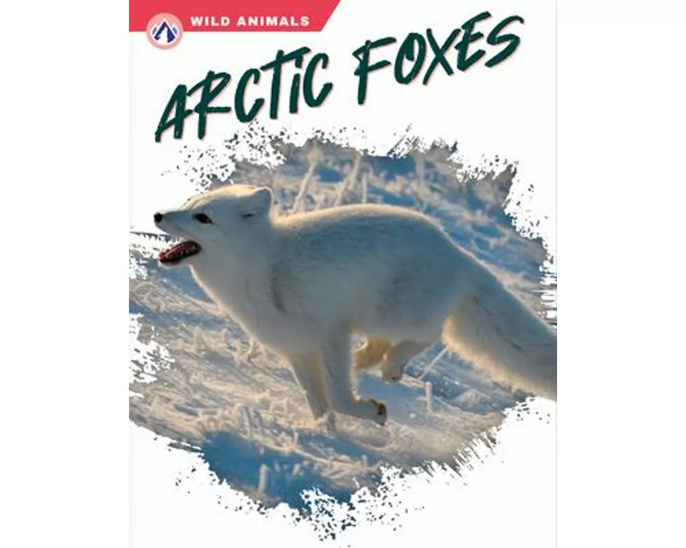 Arctic Foxes