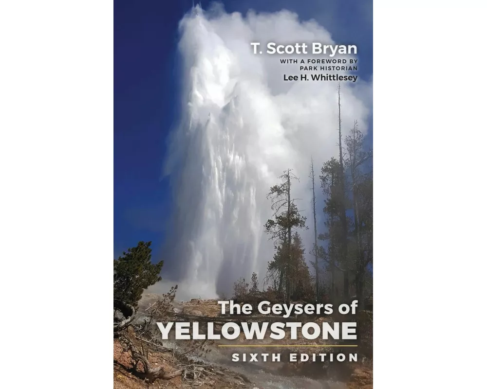 Geysers of Yellowstone