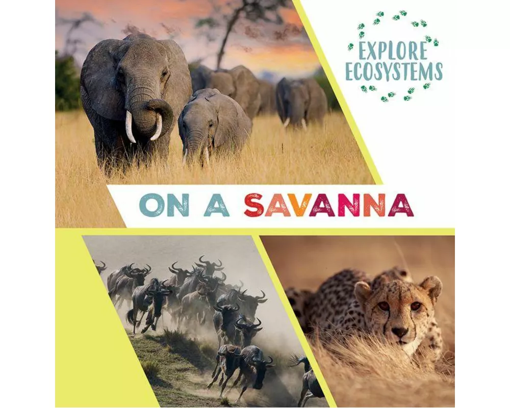 On a Savanna