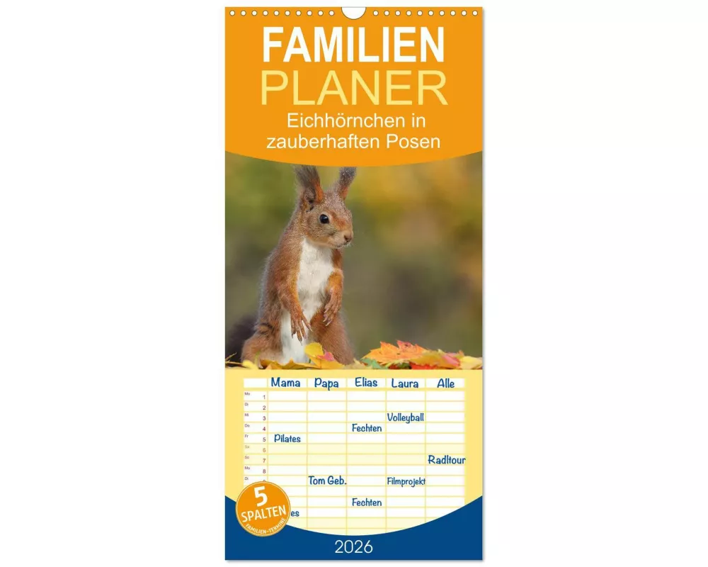 Familienplaner 2026 - Eichhörnchen in zauberhaften Posen mit 5 Spalten (Wandkalender, 21 x 45 cm) CALVENDO