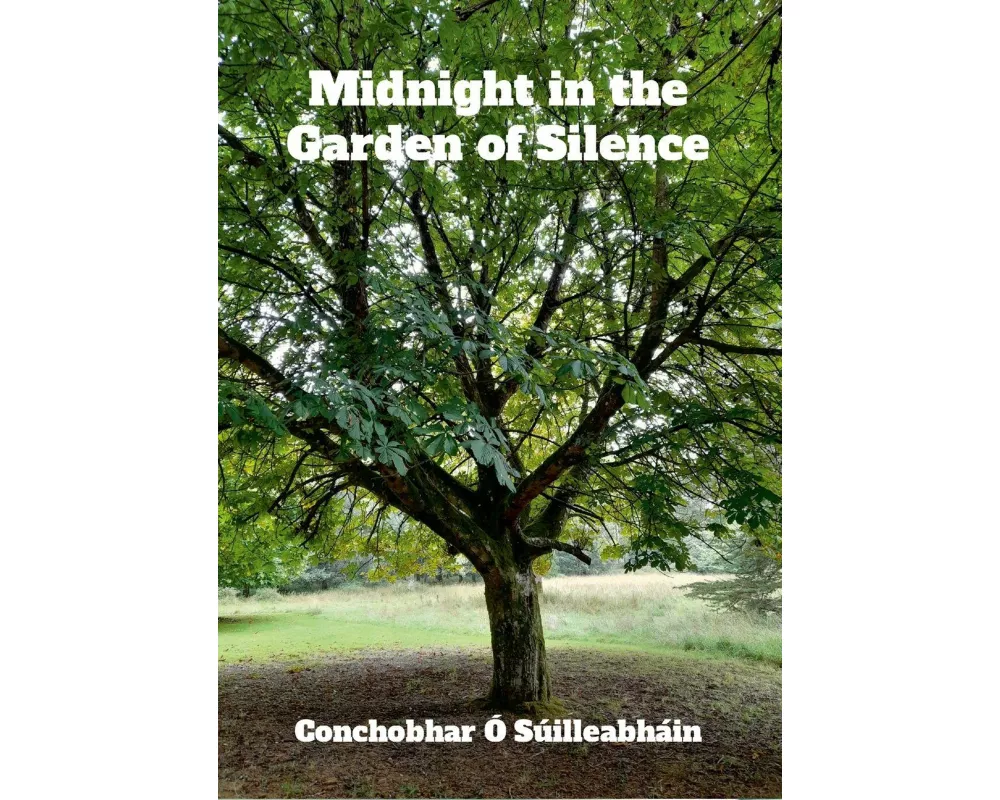 Midnight in the Garden of Silence