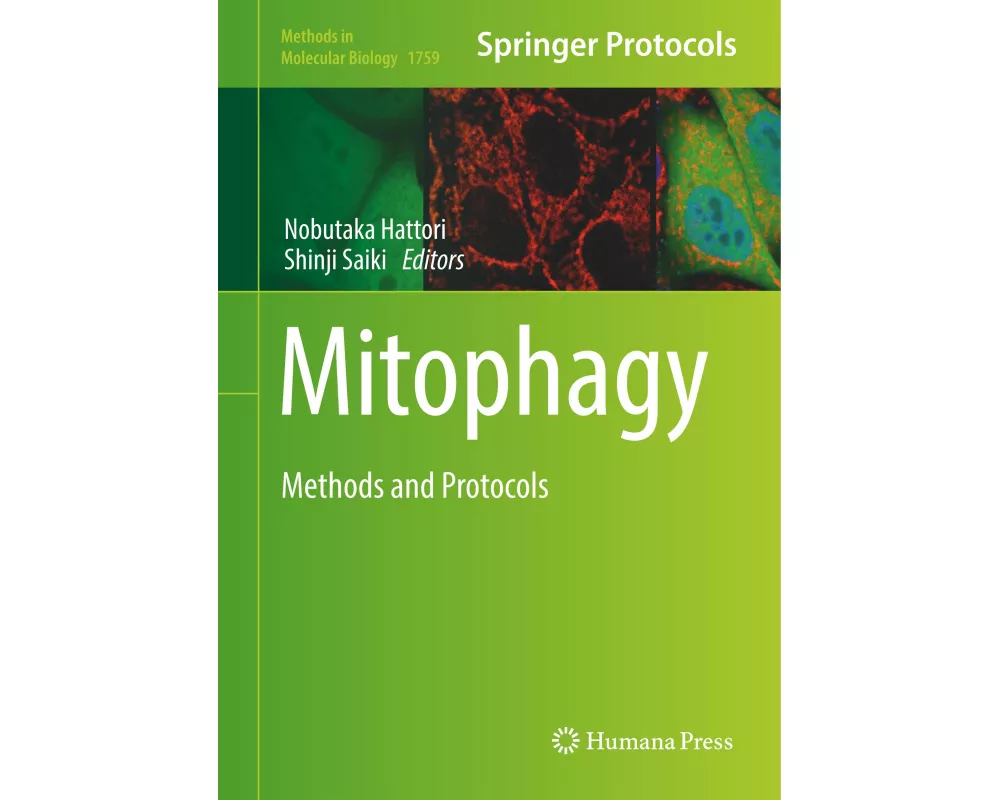 Mitophagy