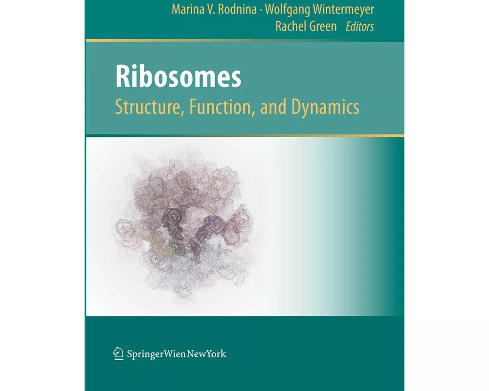 Ribosomes Structure, Function, and Dynamics