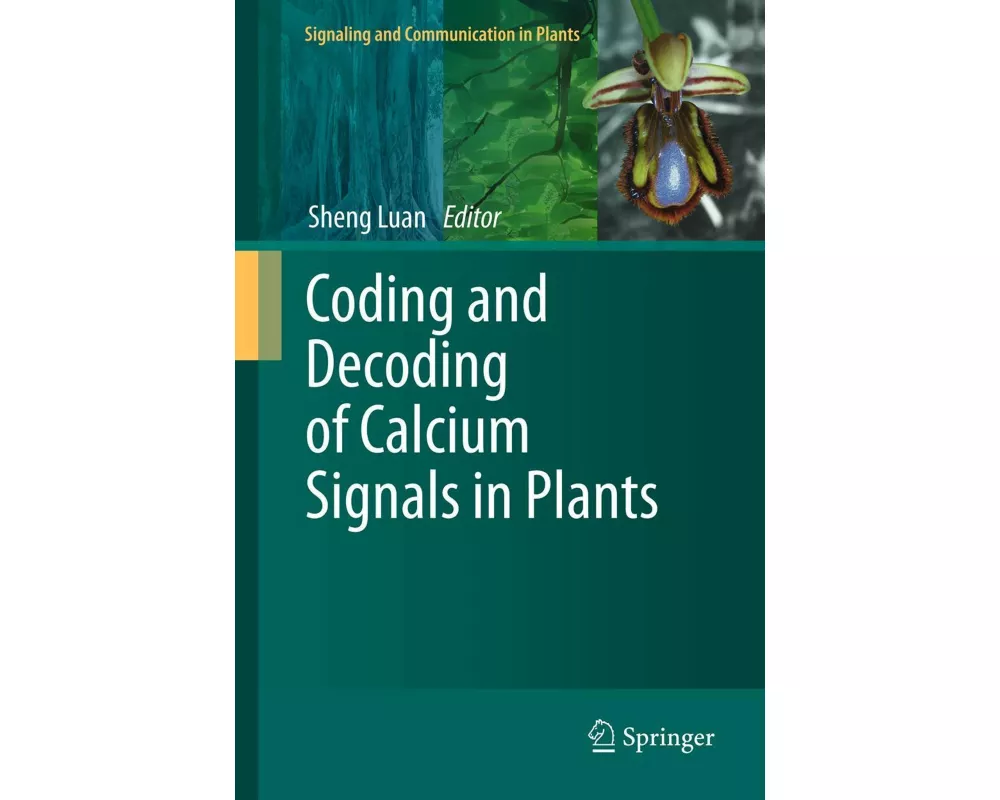 Coding and Decoding of Calcium Signals in Plants