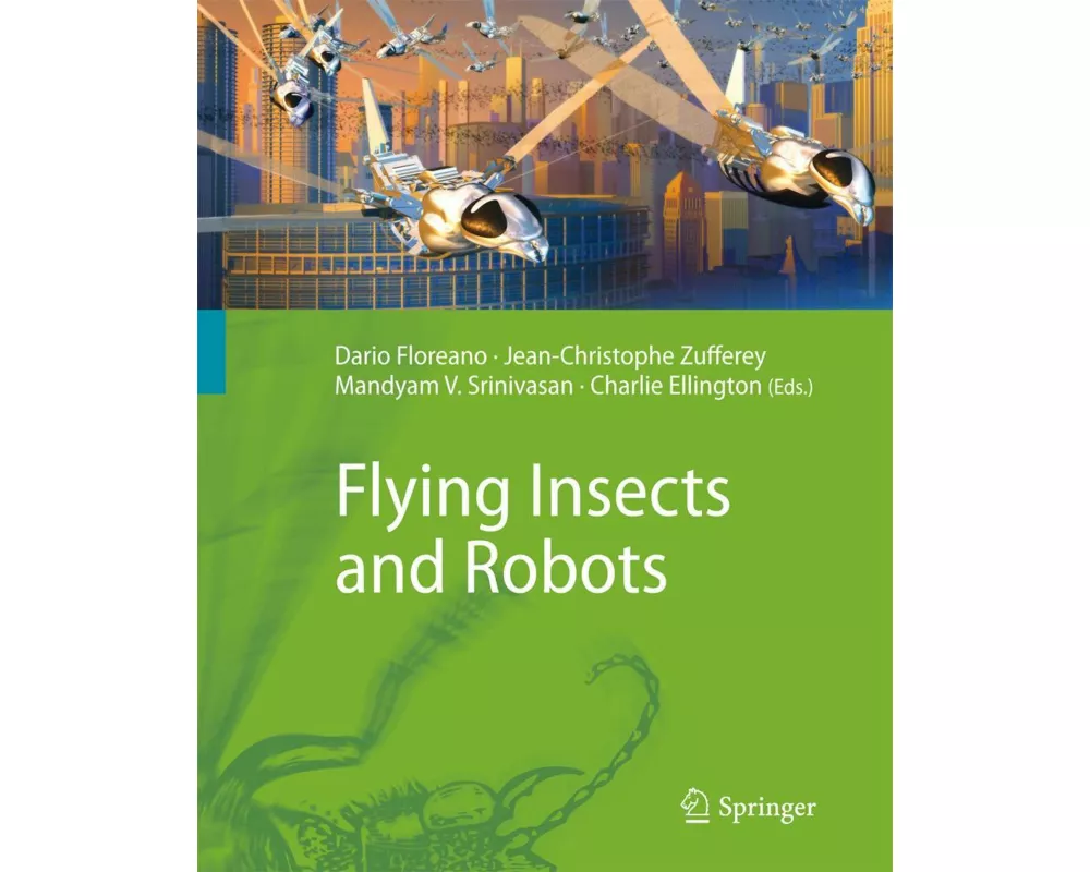 Flying Insects and Robots