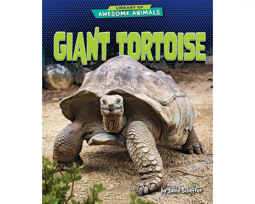 Giant Tortoise