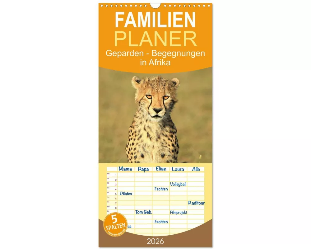 Familienplaner 2026 - Geparden - Begegnungen in Afrika mit 5 Spalten (Wandkalender, 21 x 45 cm) CALVENDO