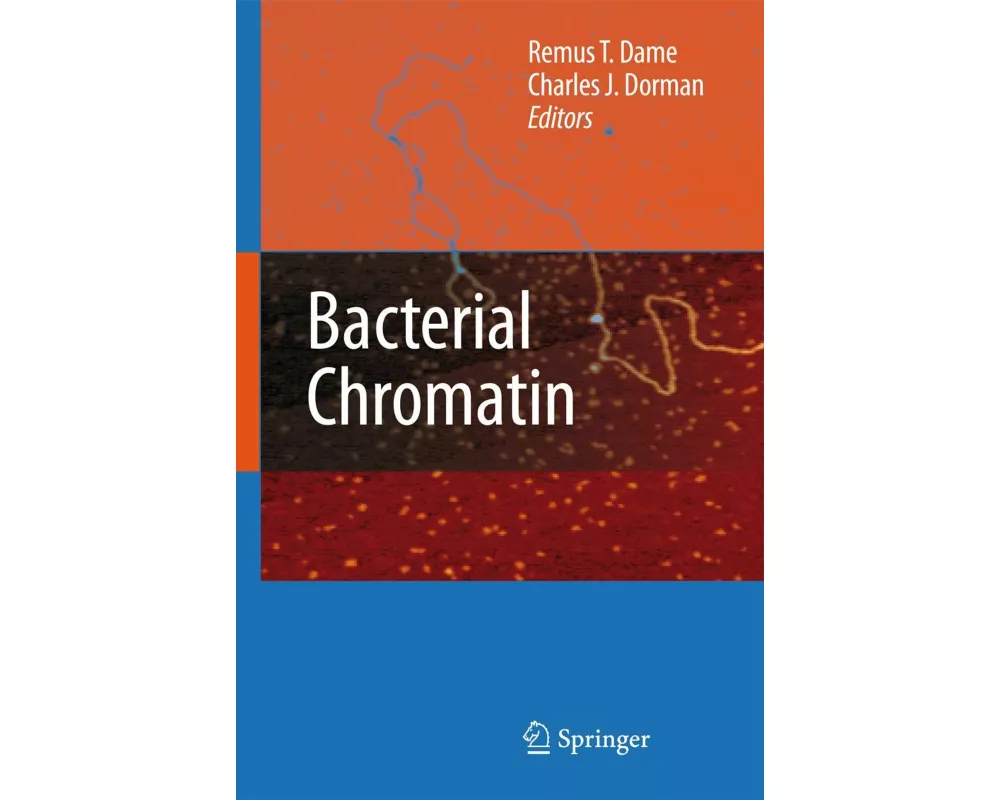Bacterial Chromatin