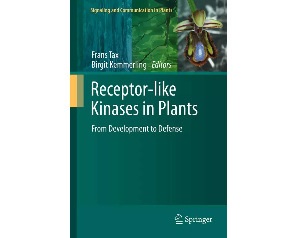 Receptor-like Kinases in Plants