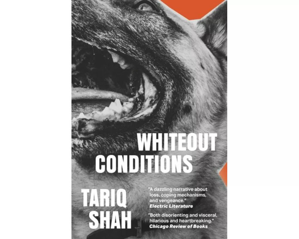Whiteout Conditions