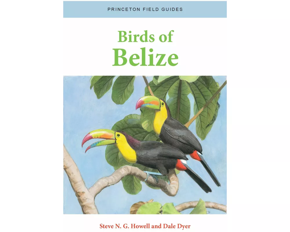 Birds of Belize