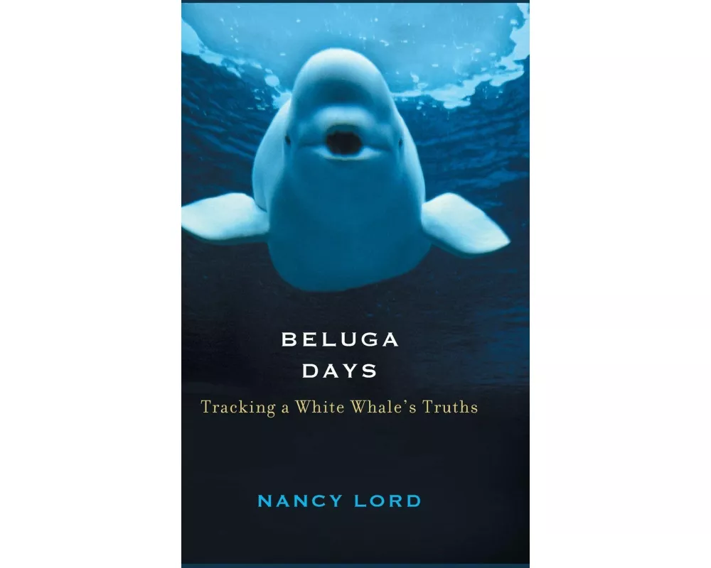 Beluga Days