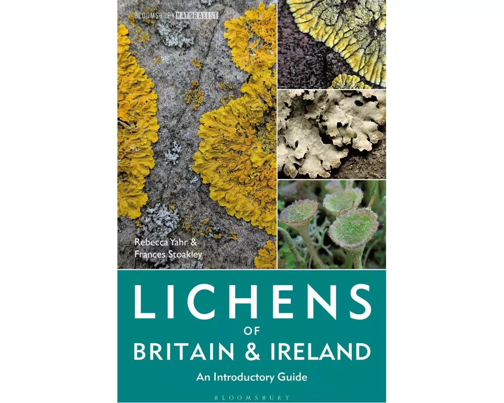 Lichens of Britain and Ireland