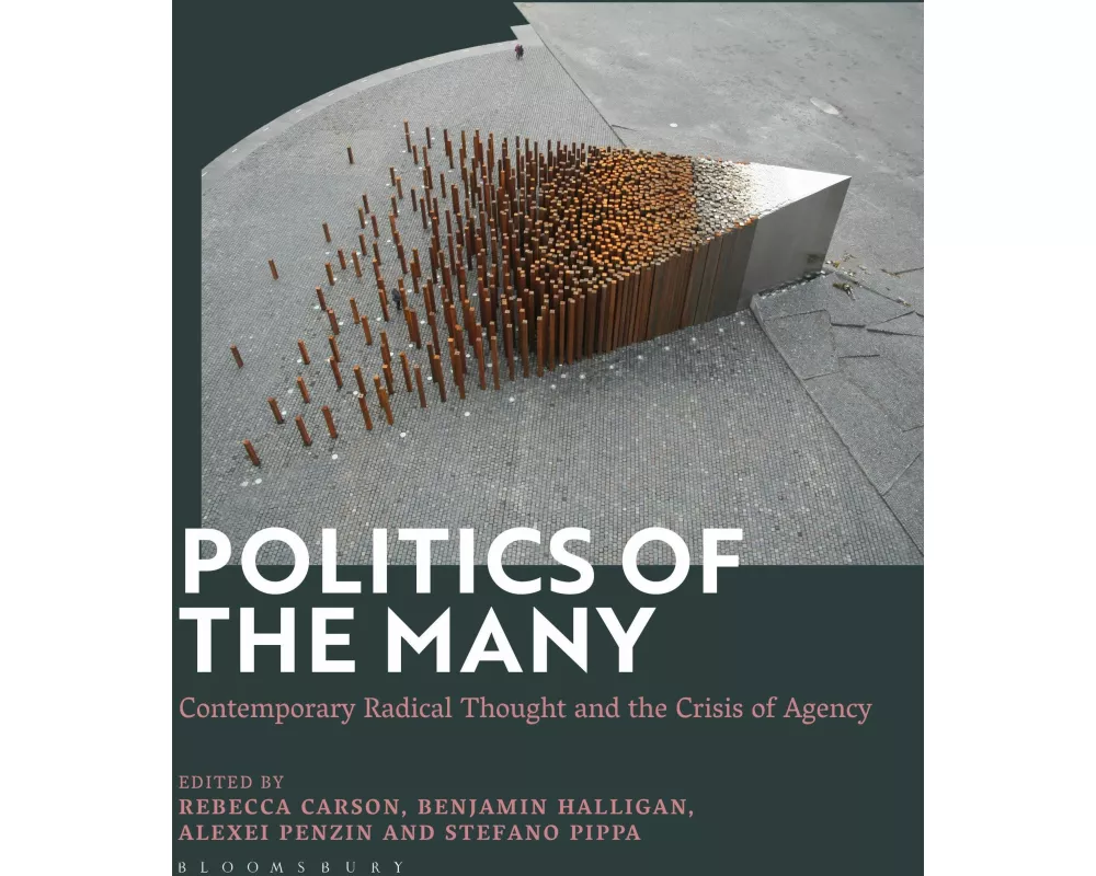 Politics of the Many