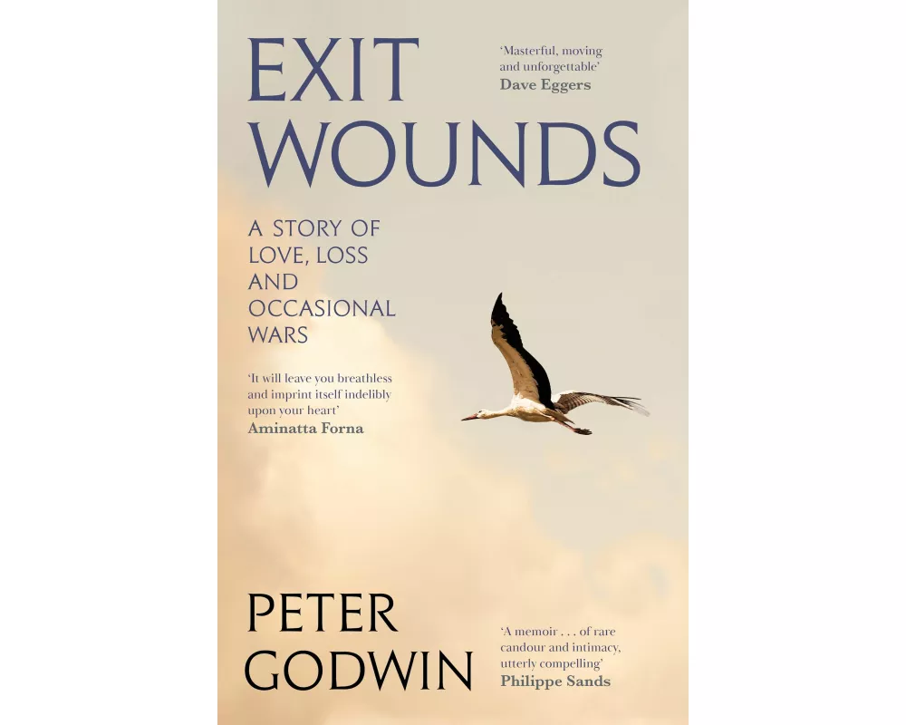 Exit Wounds