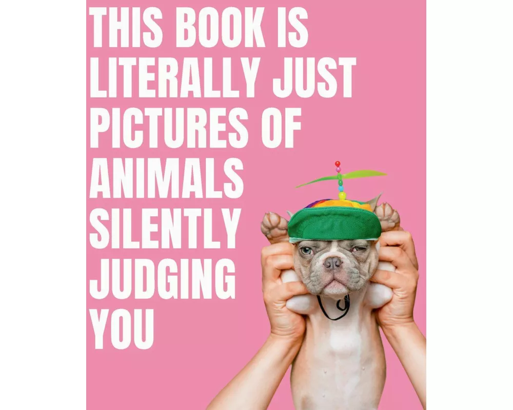 This Book is Literally Just Pictures of Animals Silently Judging You