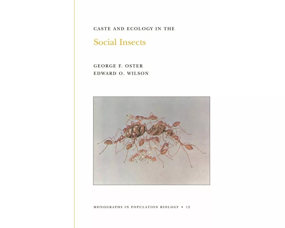 Caste and Ecology in the Social Insects