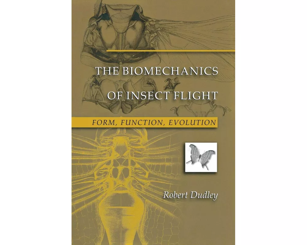 The Biomechanics of Insect Flight