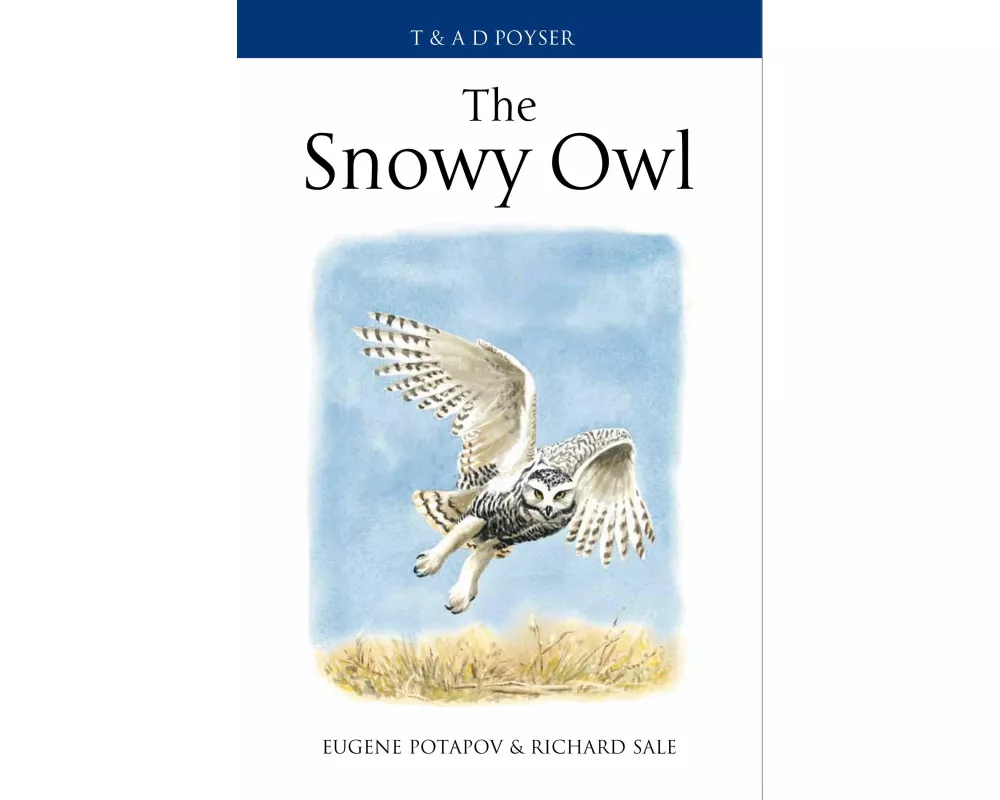The Snowy Owl