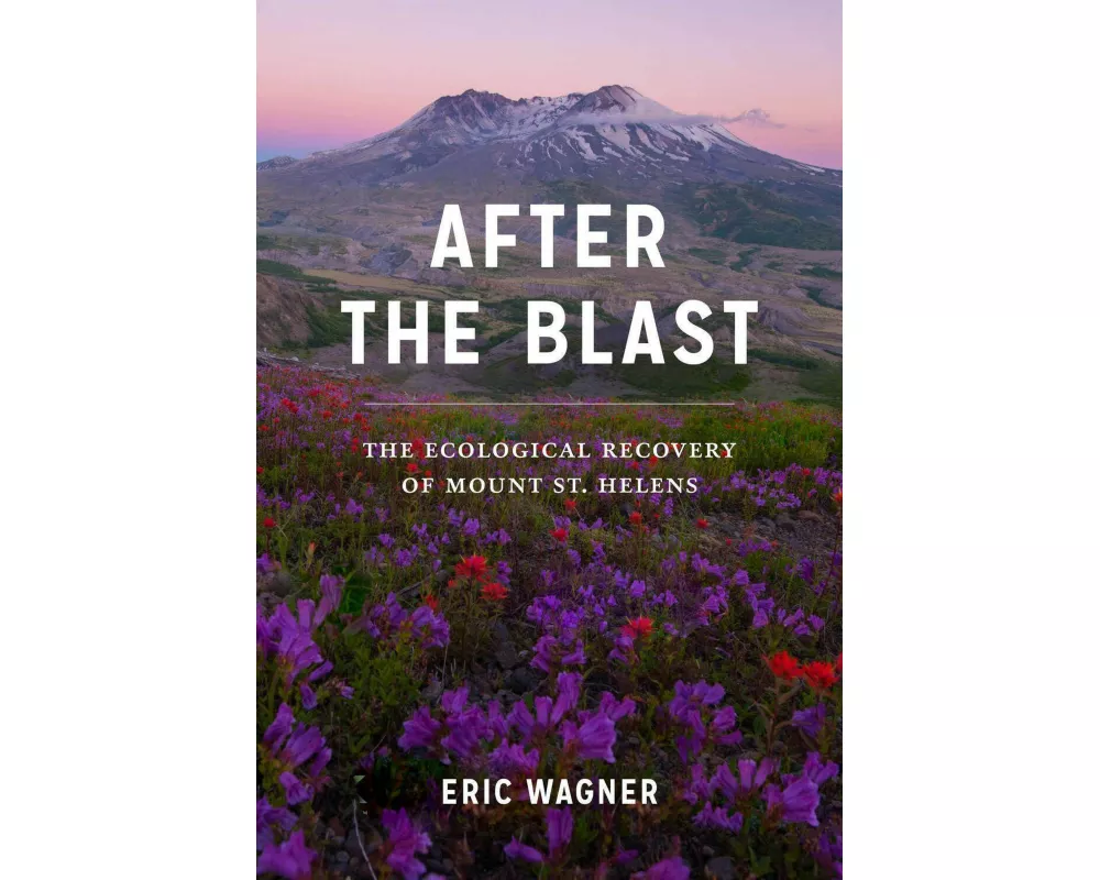 After the Blast