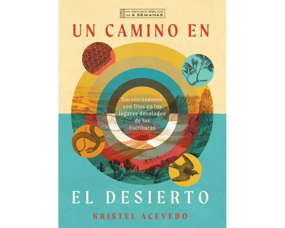 Un Camino En El Desierto