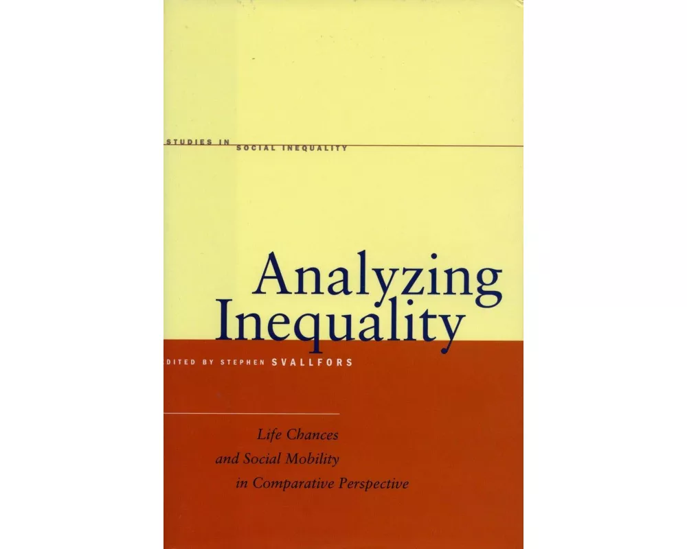Analyzing Inequality