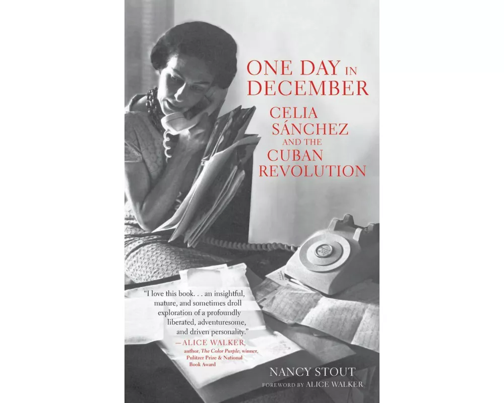 One Day in December