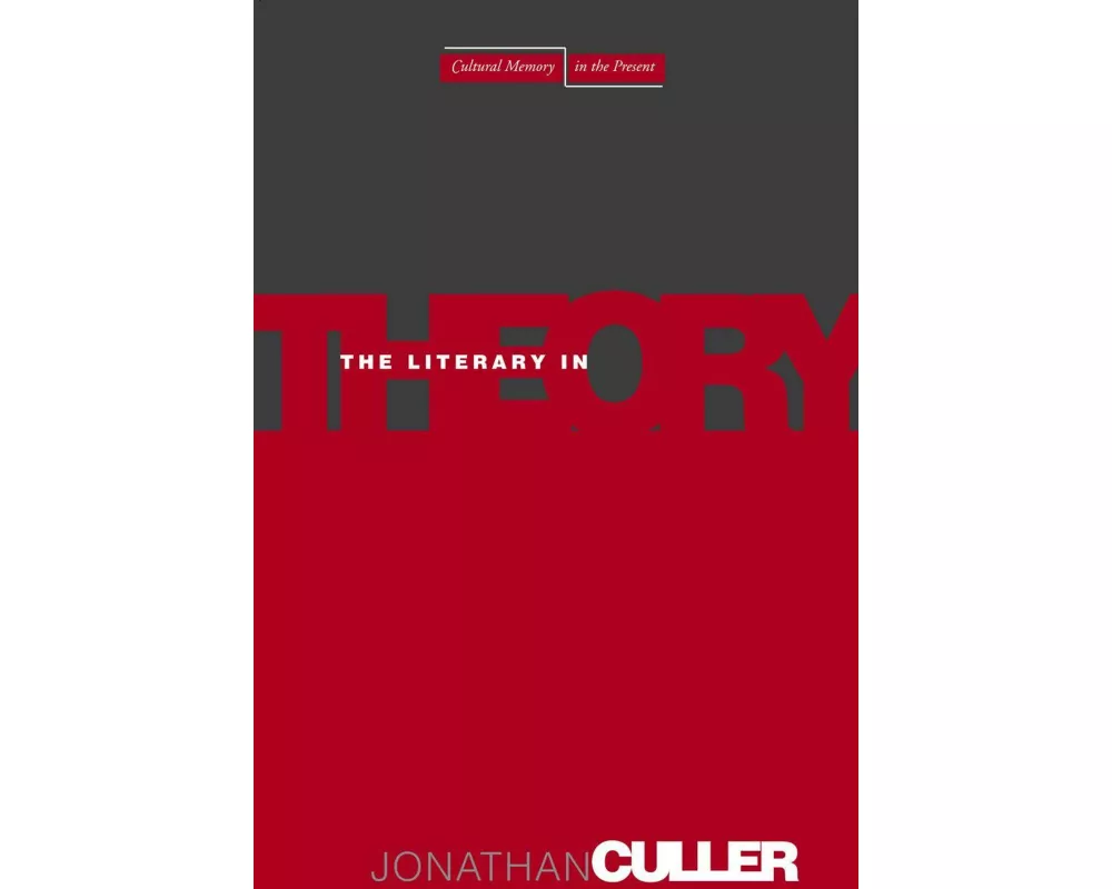 The Literary in Theory