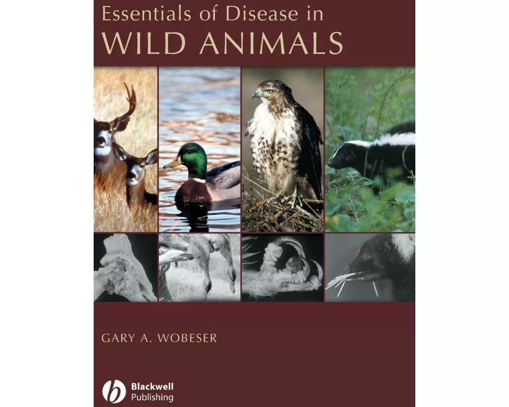 Essentials of Disease in Wild Animals