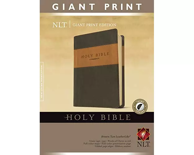 Giant Print Bible-NLT