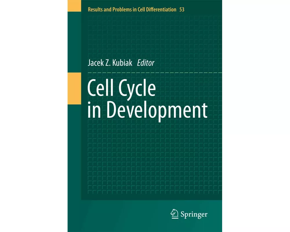 Cell Cycle in Development