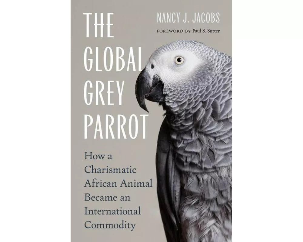 The Global Grey Parrot
