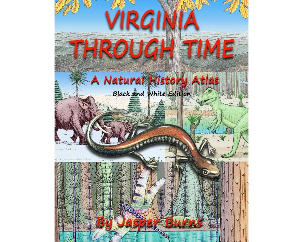 Virginia Through Time