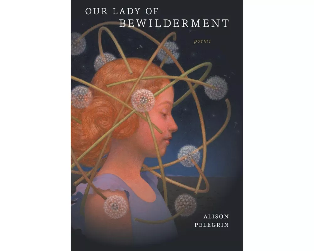 Our Lady of Bewilderment