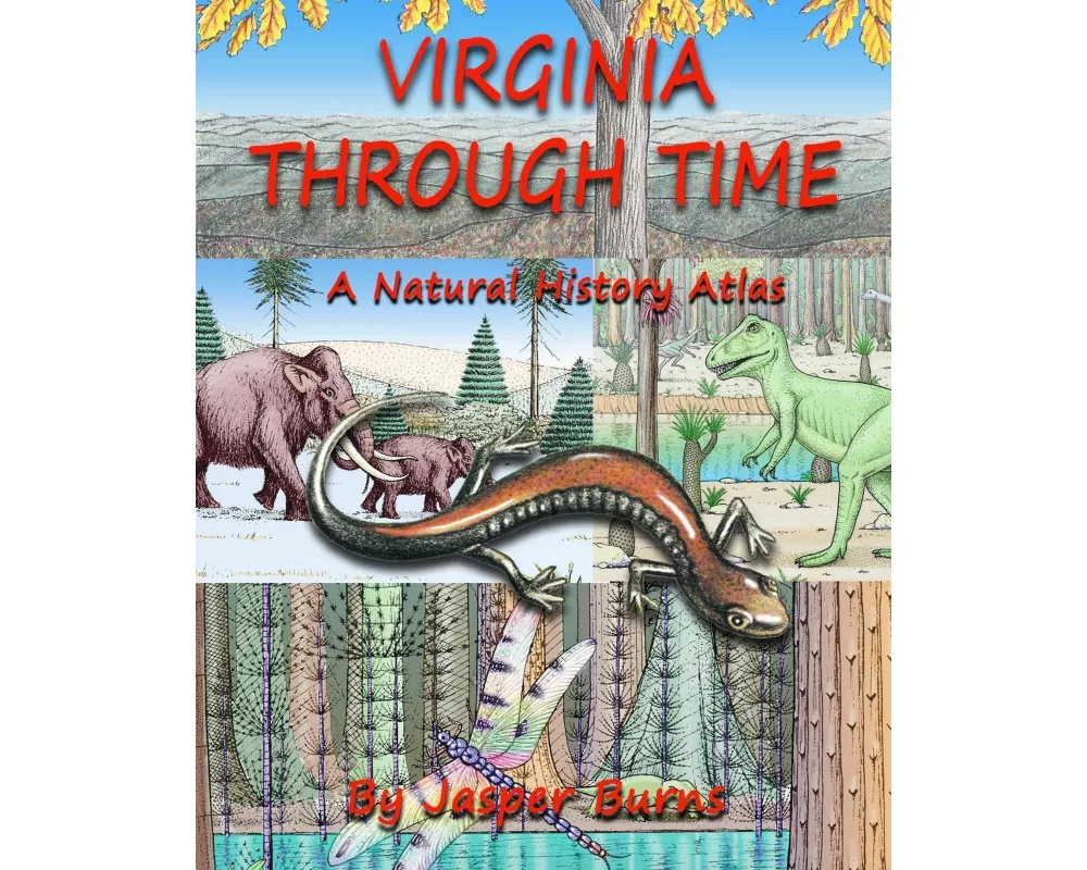 Virginia Through Time