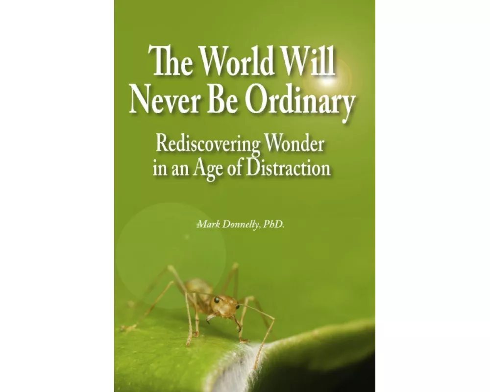 The World Will Never Be Ordinary
