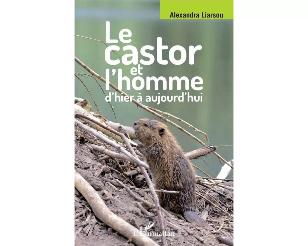 Le castor et l'homme d'hier à aujourd'hui