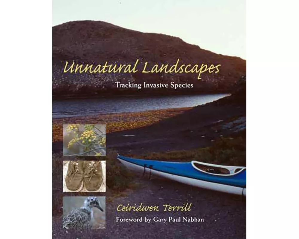 Unnatural Landscapes