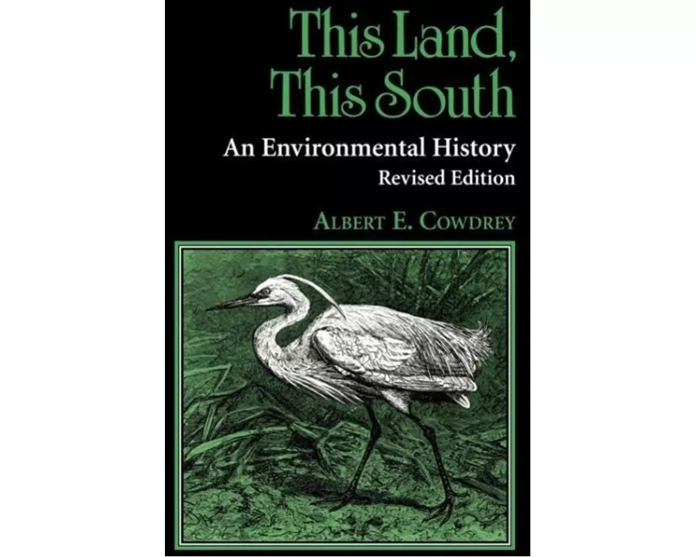 This Land, This South