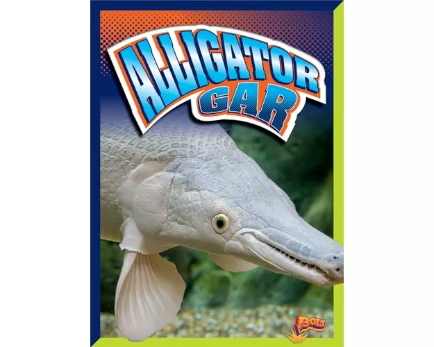 Alligator Gar