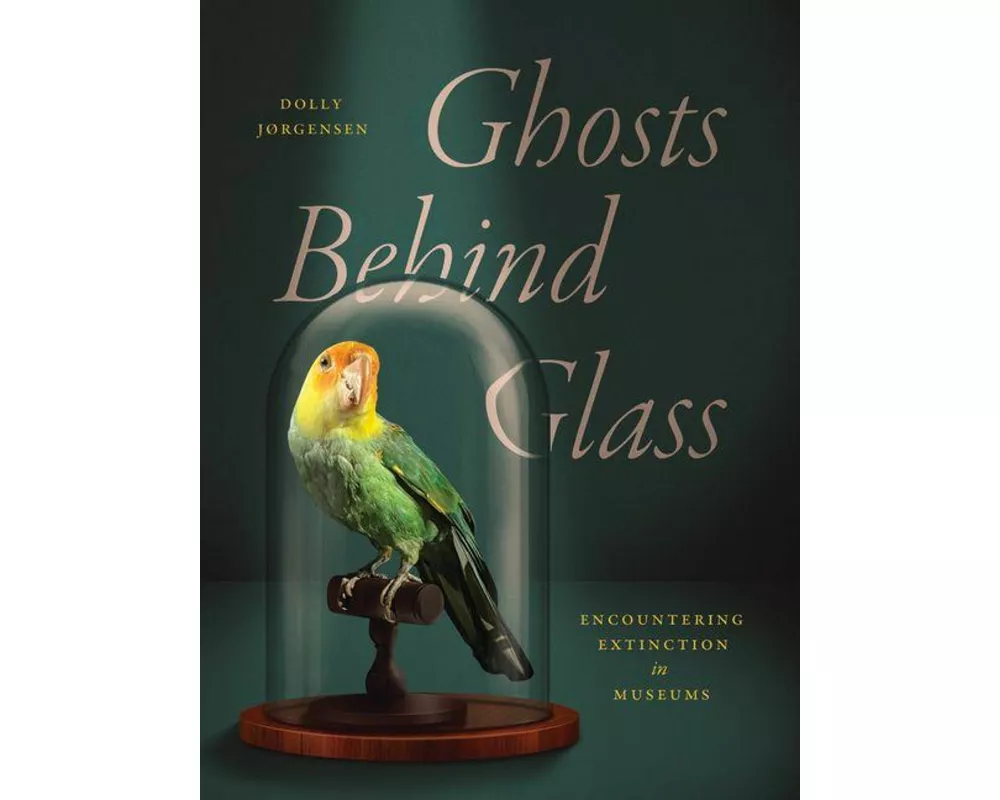 Ghosts Behind Glass